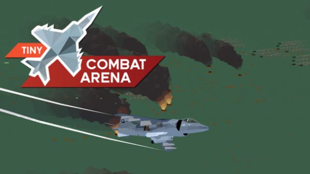 Free Download Tiny Combat Arena